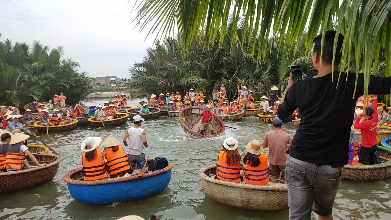 Rung Dua Bay Mau, Vietnam
