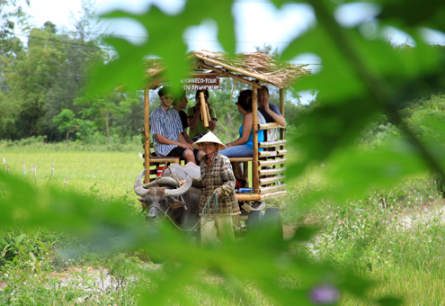 Đưa Tây lên xe trâu